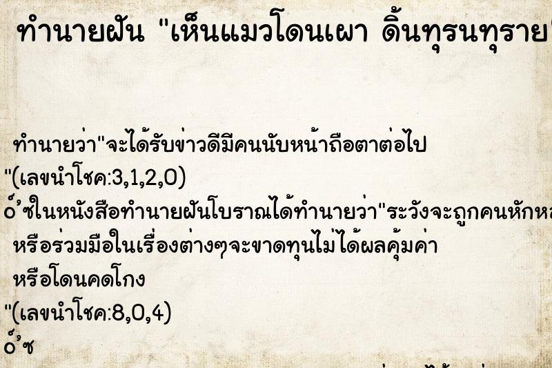 ทำนายฝันทำนายฝันเห็นแมวโดนเผาดิ้นทุรนทุราย